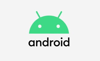 安卓系统切标志位,Android系统标志