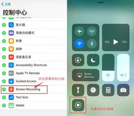 ios系统相册安卓版,功能差异与使用体验
