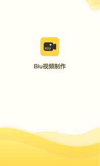 biu视频桌面安卓系统,功能与特色一览